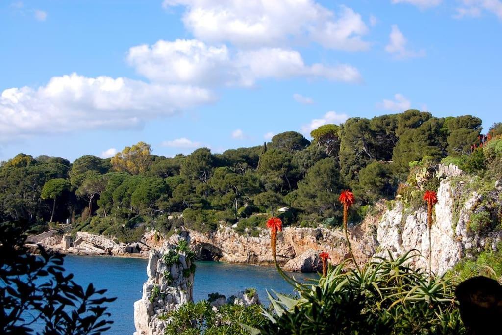 Ravissant Studio Au Coeur Du Vieil Antibes Bagian luar foto